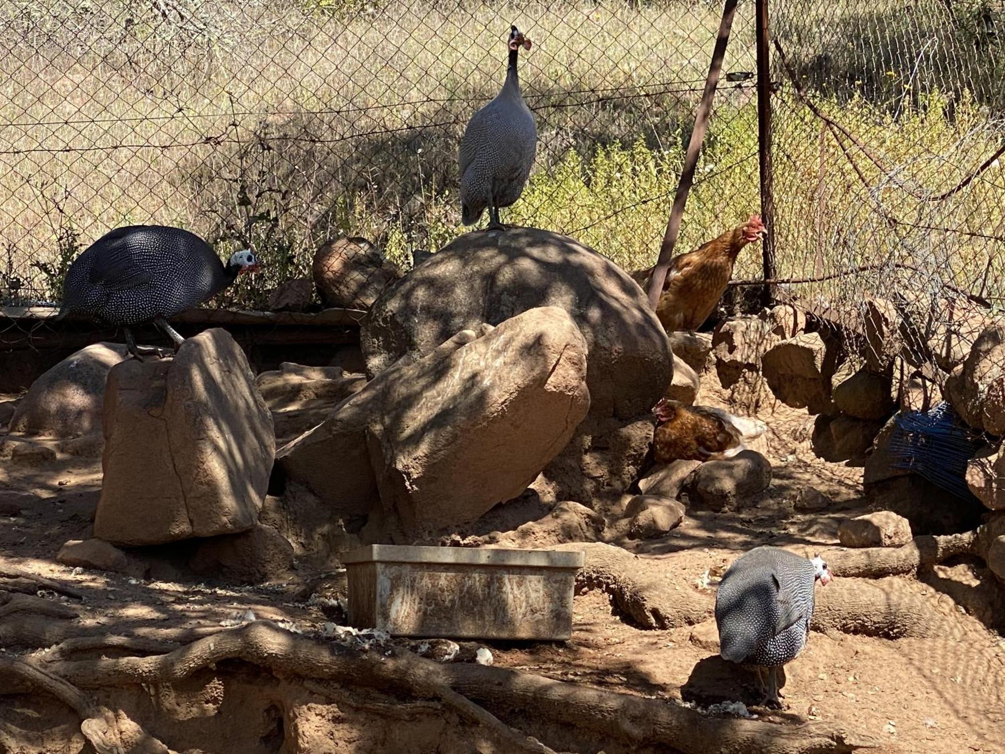 Las Chorreras Del Orejon 2 Villaviciosa de Cordoba Bagian luar foto