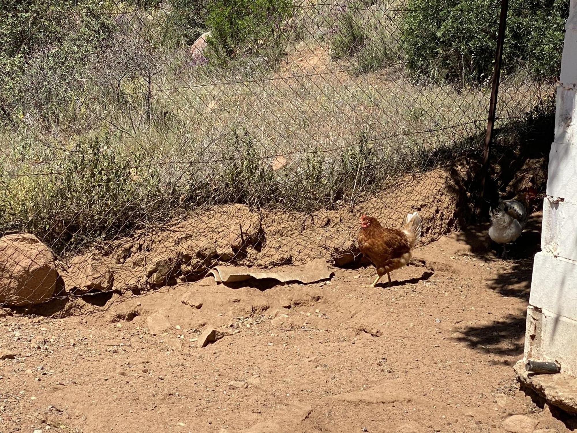 Las Chorreras Del Orejon 2 Villaviciosa de Cordoba Bagian luar foto