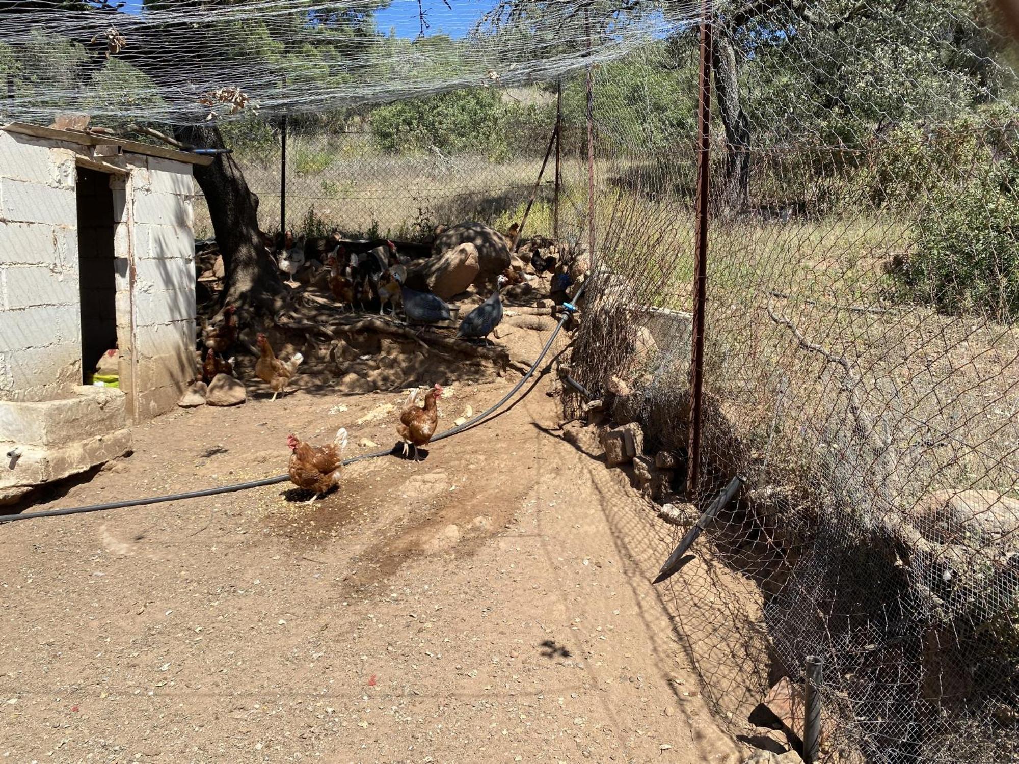 Las Chorreras Del Orejon 2 Villaviciosa de Cordoba Bagian luar foto