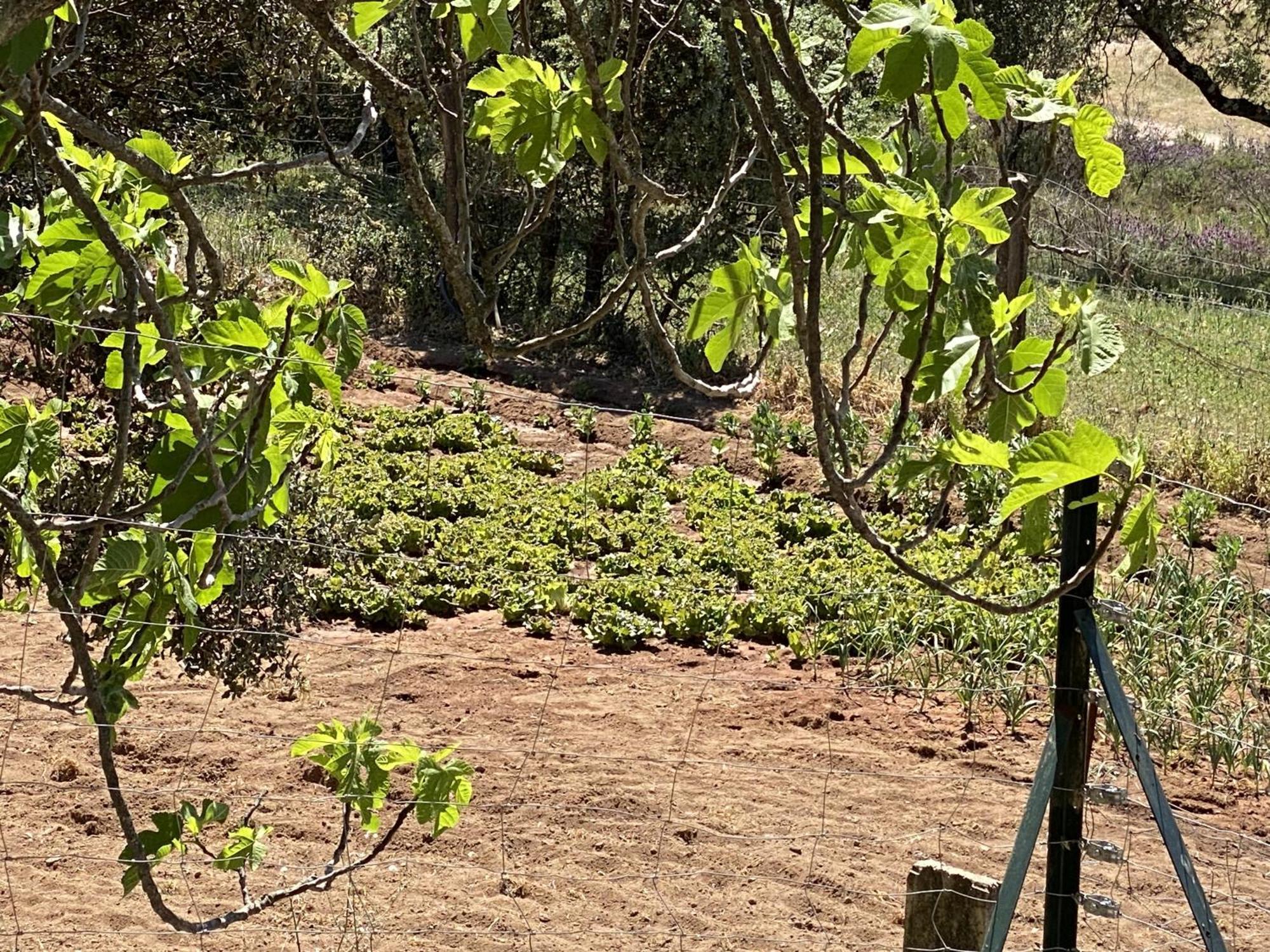 Las Chorreras Del Orejon 2 Villaviciosa de Cordoba Bagian luar foto